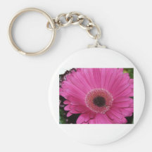 flower,pink gerber daisy key chains