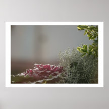 Flower Posters