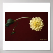 flower posters
