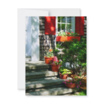 Flower Pots and Red Shutters