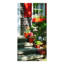 Flower Pots and Red Shutters