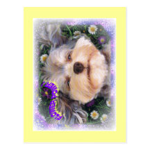 FLOWER POWER CARTE POSTALE