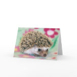 Flower Power Hedgehog Cards