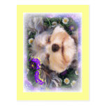 FLOWER POWER POST CARD