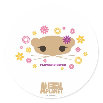 Flower Power Sticker by Meerkats