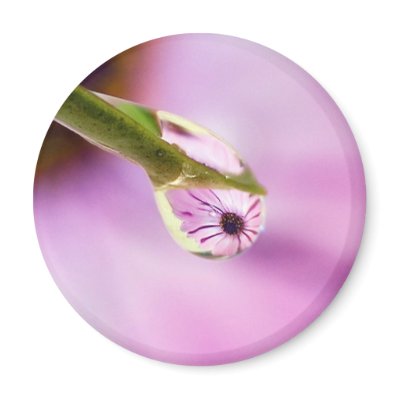 Flower Reflection in a Water Drop Refrigerator Magnets by Squealia