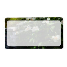 Flower - Rose - By a wall Custom Shipping Label