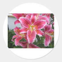 Flower Round Sticker