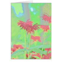 Flower Scapes Bee Balm cards