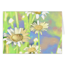 Flower Scapes Field of Daisies cards