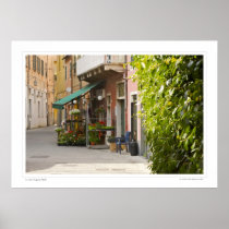 Flower shop in a alley in Levanto, Italy Print