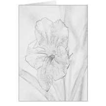 Flower Sketch Card