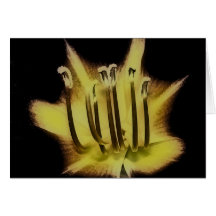 flower stamens card