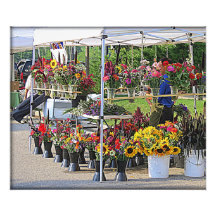 Flower Stand Photo Art