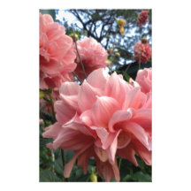 Flower Stationery