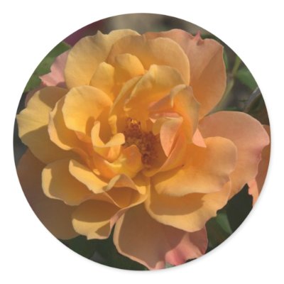 Flower Stickers by Anna_T_Benevides