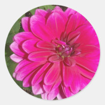 Flower Stickers