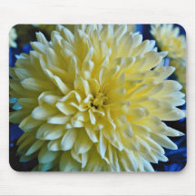 Flower, still life  flowers mouse pads