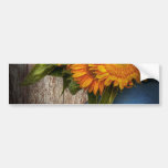 Flower - Sunflower - Country Sunshine Bumper Stickers