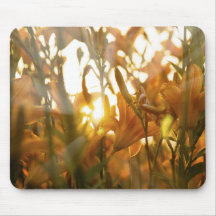 Flower Sunrays Mousepad