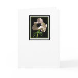 Flower Sympathy Card