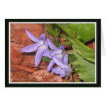 Flower Thank you card