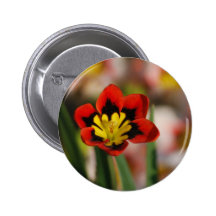 Flower to be cherished buttons