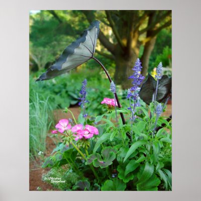 Flower Variety Poster by TrailsThroughNature