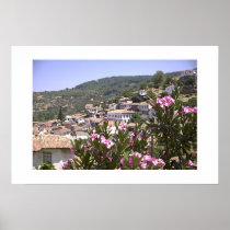 Flower view poster