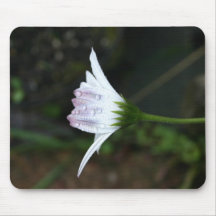 Flower with Dew Drops Mousemats