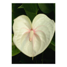 Flower World Customized Invitations