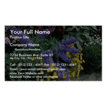 Flowerbeds on the grounds of Hadden Hall, England Business Card Templates