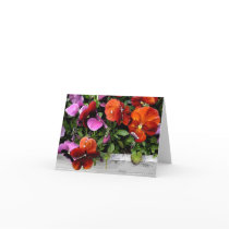 Flowerbox of Pansies Card
