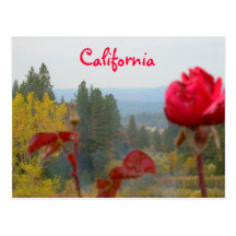 Flowered California Post Cards