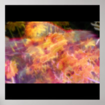 FlowerImplosion 3 Poster