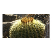 Flowering Barrel Cactus Mexico Photo Greeting Card