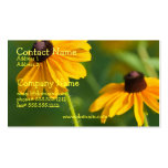 Flowering Black Eyed Susan Business Card