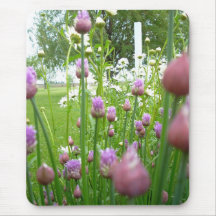 Flowering  Chives Mouse Pad