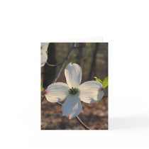 Flowering Dogwood Cards