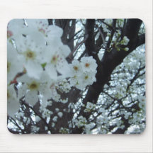 Flowering dogwood mousepad