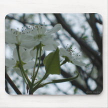 Flowering Dogwood Mousepad