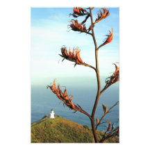 Flowering New Zealand flax Cape Reinga Custom Stationery