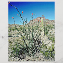 Flowering Ocotillo, Butte Behind Custom Flyer