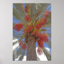Flowering Palm Print