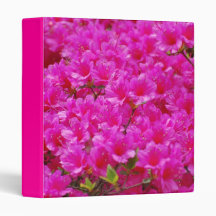 Flowering Pink Azalea Binder