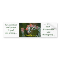 Flowering Succulent Bumper Sticker