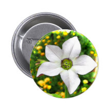 Flowering Tobacco Pinback Button