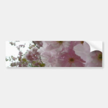 Flowering Tree Bumper Stickers