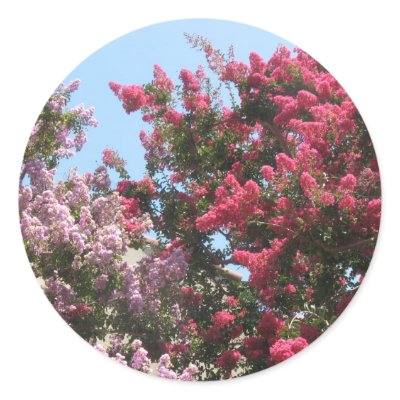 flowering trees stickers by DonnaGrayson_Photos