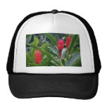 Flowering vegetation, Tahiti flowers Trucker Hats